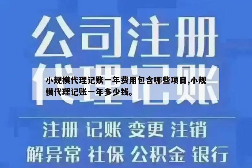 小规模代理记账一年费用包含哪些项目,小规模代理记账一年多少钱。