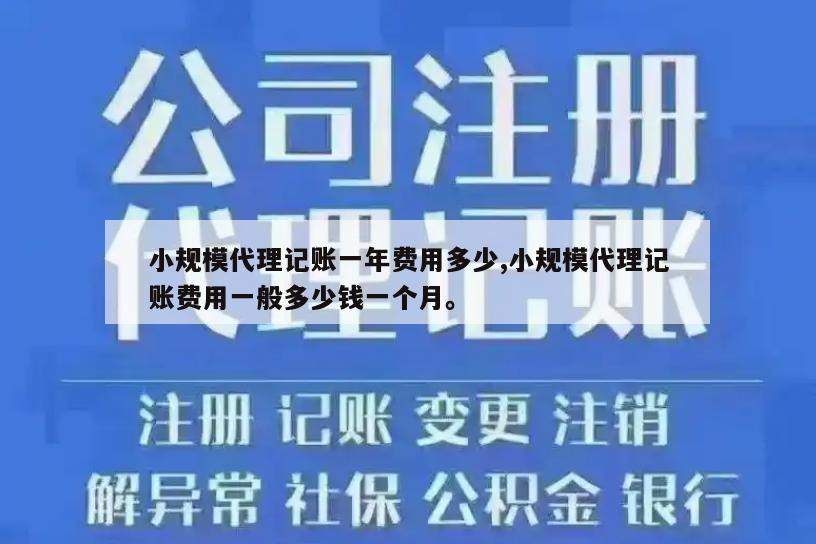 小规模代理记账一年费用多少,小规模代理记账费用一般多少钱一个月。