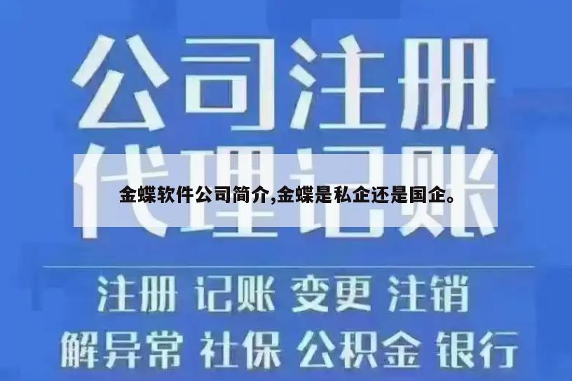 金蝶软件公司简介,金蝶是私企还是国企。