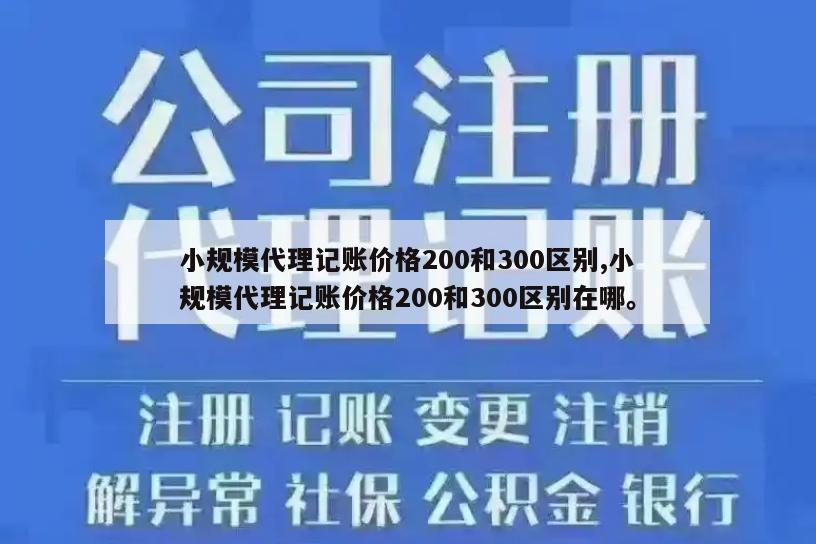 小规模代理记账价格200和300区别,小规模代理记账价格200和300区别在哪。